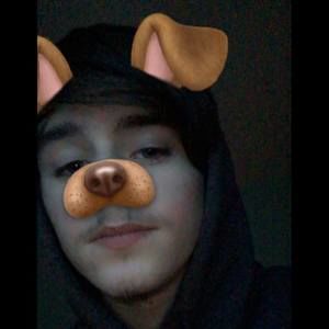 Meet your Posher, Vincent